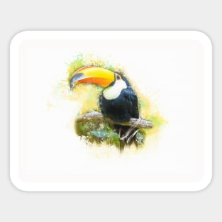 Toucan Toco Bird Animal Wildlife Forest Nature Flight Outdoor Digital Painting Sticker